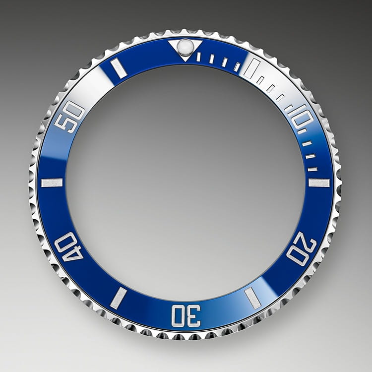 逆回転防止べゼル