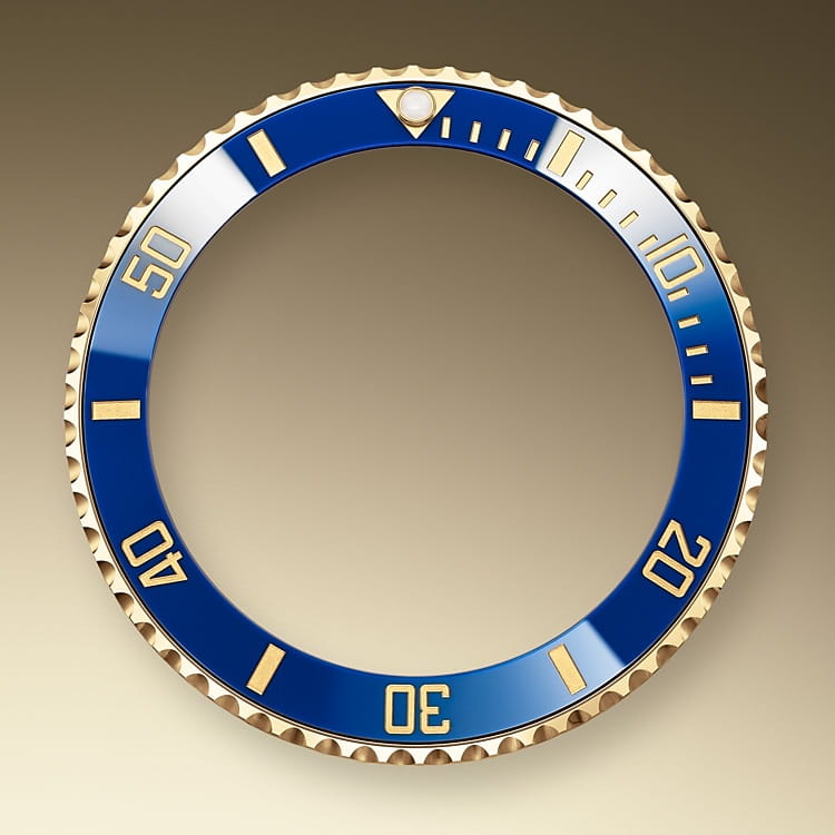 逆回転防止べゼル