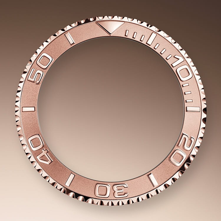 両方向回転べゼル